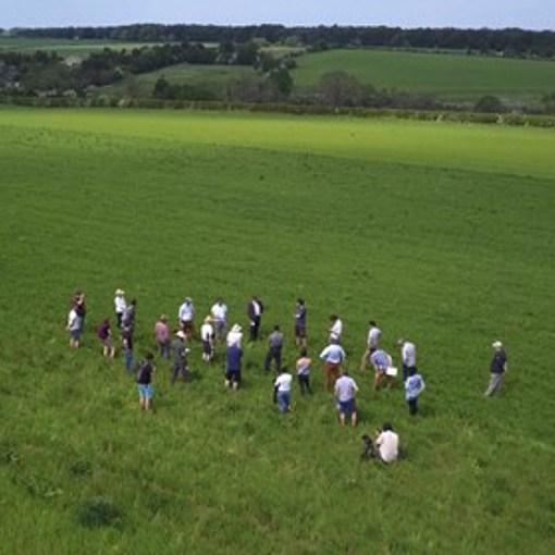 Thumbnail for 'New farmer-led innovation fund launching – Applications open 28 April ' page