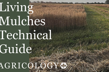 Thumbnail for 'New living mulch technical guide from Agricology' page
