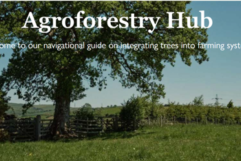 Thumbnail for 'Agricology's new agroforestry hub' page