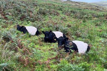 Thumbnail for 'Non Chemical Bracken Management - Technical - Animal Health Considerations Webinar - 18th February' page