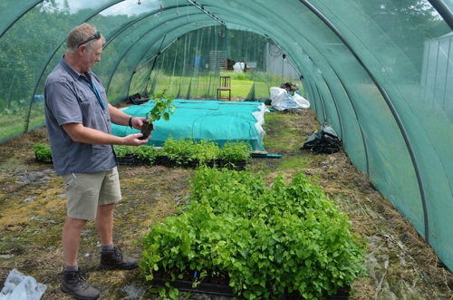 Peter showing first selection process in breeding trials