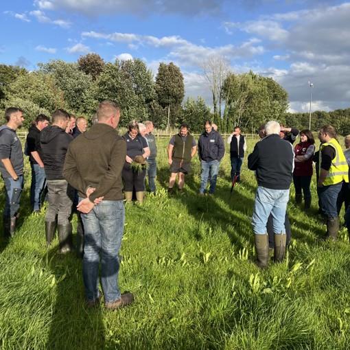 Thumbnail for '“It’s not been plain sailing, but we’ve really learned how to establish herbal leys”' page