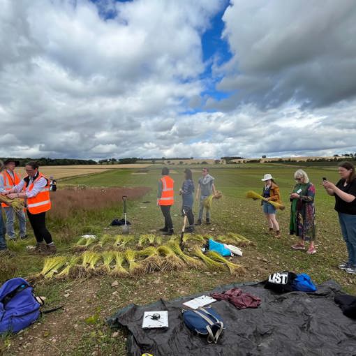 Thumbnail for 'Harvesting flax and the future of linen fibre in Scotland' page