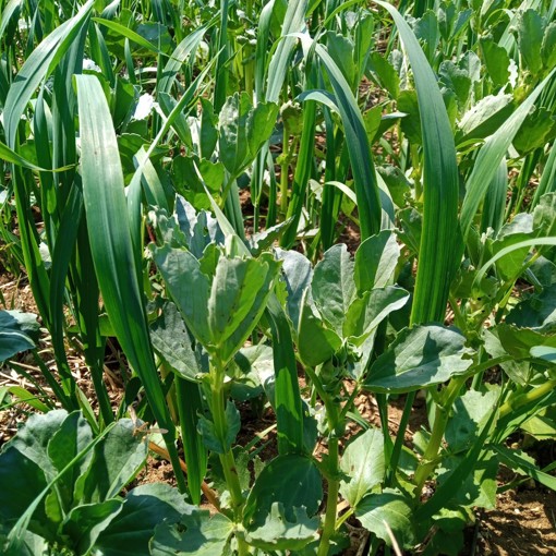 Thumbnail for 'Umbraco.Cms.Core.Models.MediaWithCrops`1[SAIF.Umbraco.Models.Image]' page